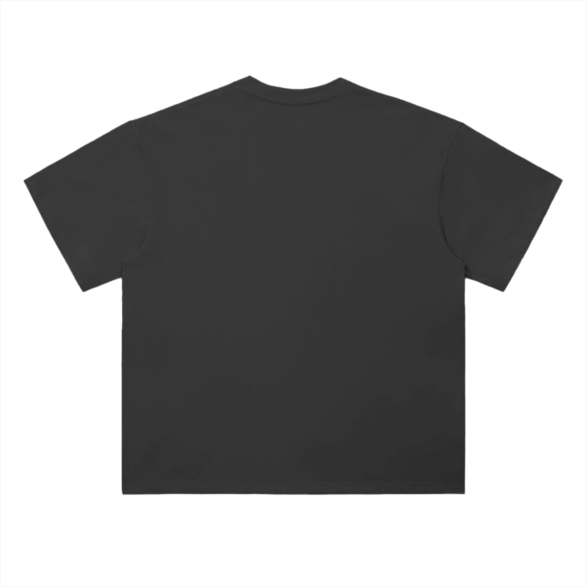 T-skjorte: v2